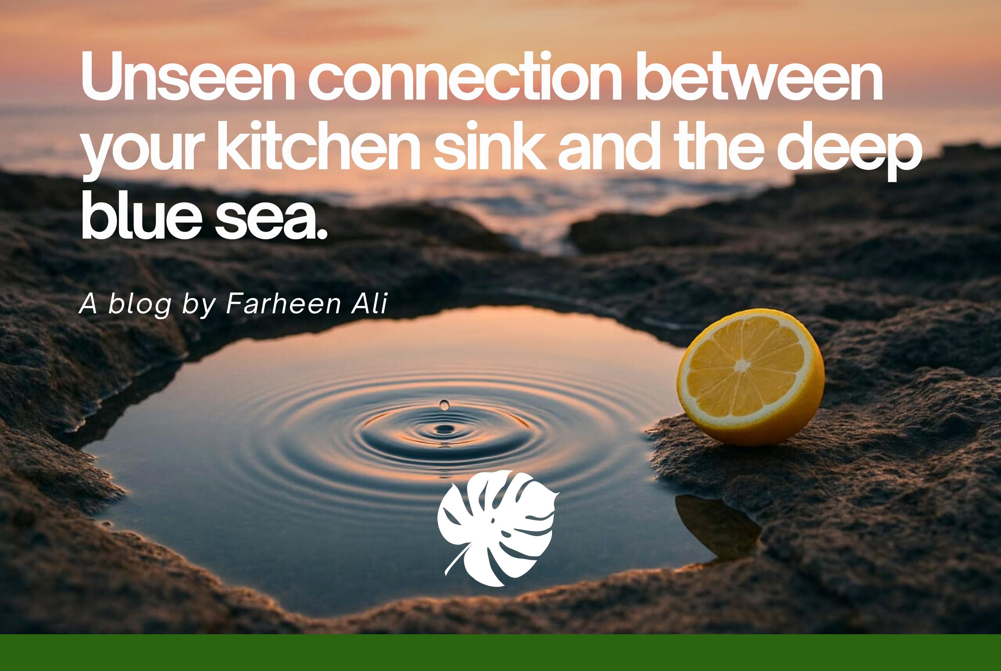 From Your Kitchen Sink to the Deep Blue Sea: The Unseen Connection