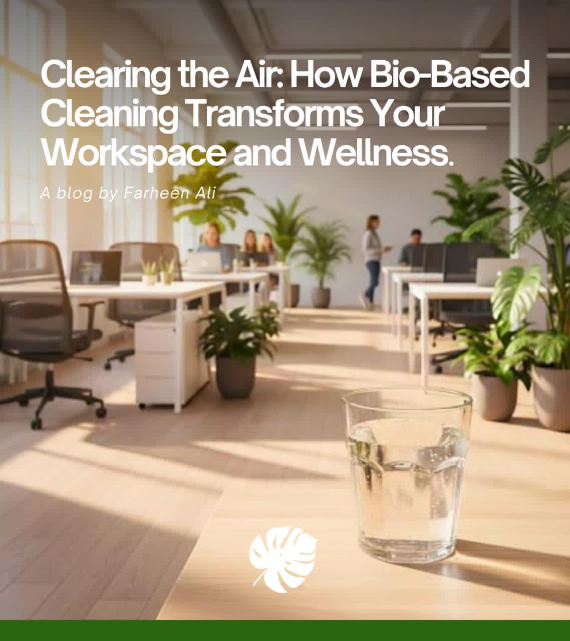 Clearing the Air: How Bio-Based Cleaning Transforms Your Workspace and Wellness