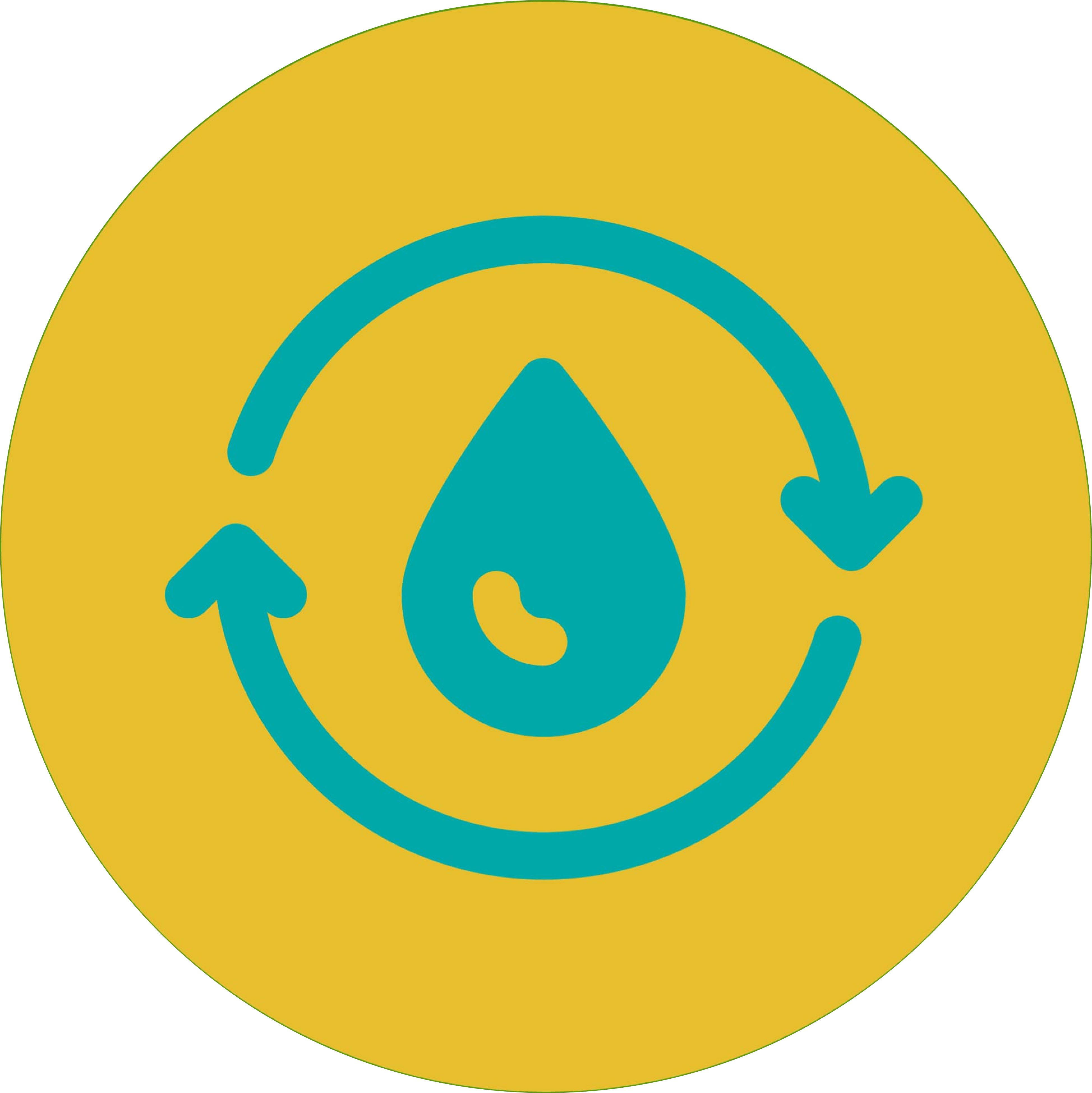 Detoxifies Waste Water